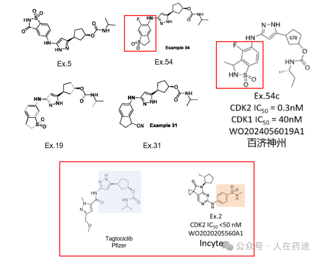 百济自己有专利为何要买昂胜的cdk2抑制剂