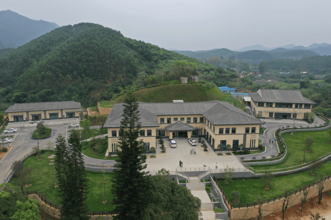 一年一度的清明节到来,郁郁葱葱的南宁市青龙岗长安墓园人流渐多,园内