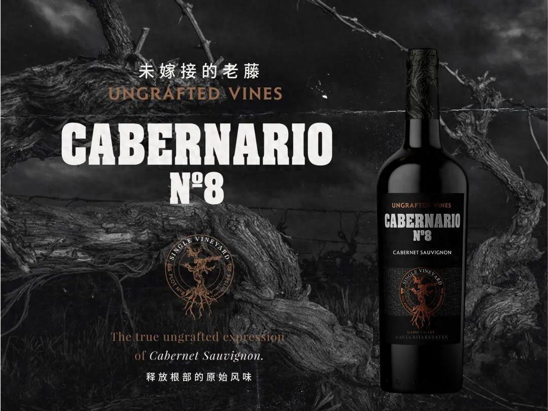 圣丽塔8号老藤赤霞珠这是一款在葡萄园而不是在酒窖里酿造的葡萄酒