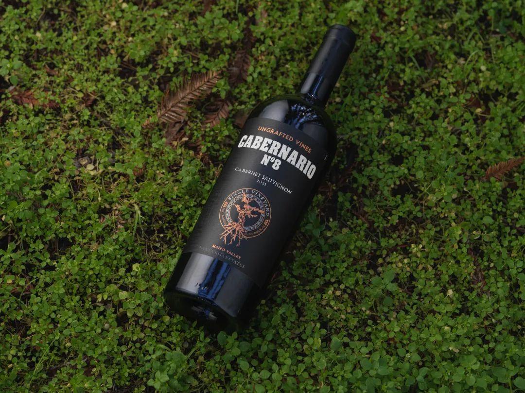 圣丽塔8号老藤赤霞珠这是一款在葡萄园而不是在酒窖里酿造的葡萄酒