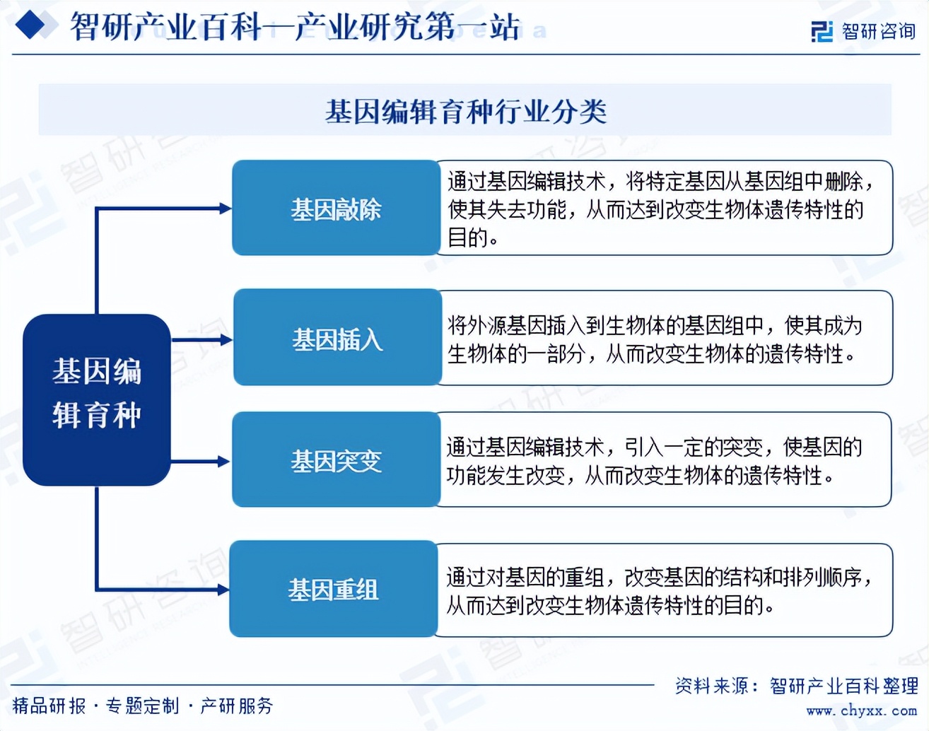 产业发展环境透析