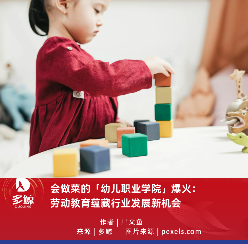 会做菜的幼儿职业学院爆火劳动教育蕴藏行业发展新机会