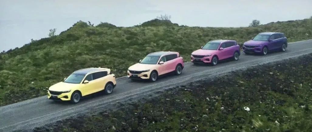 国九条发布首日湖北宜化分红增长220