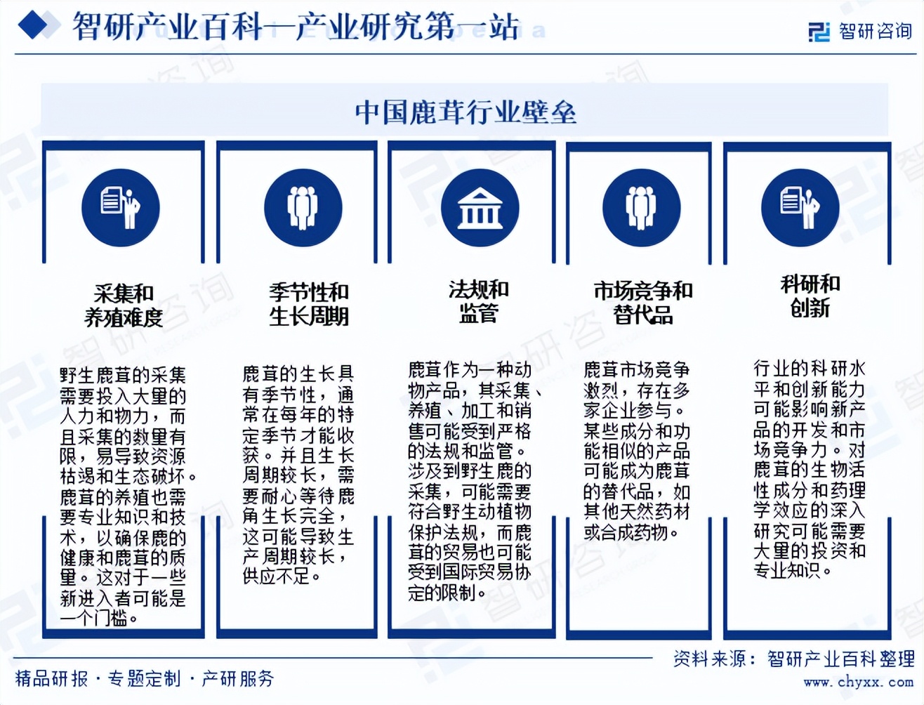 市场风云变幻，洞察未来趋势——行业动态解读