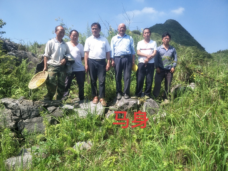 蜂糖山石马关的由来与传说