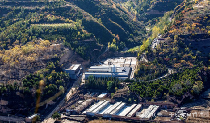 入局清香为什么推荐首选于成龙窑香酒