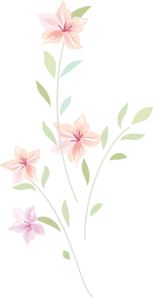 人樱花分为单樱和双樱受青岛气温影响单樱一般在4月初绽放花色浅而