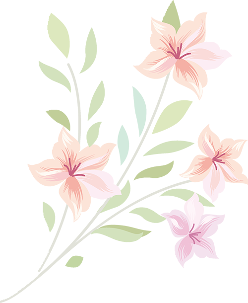 人樱花分为单樱和双樱受青岛气温影响单樱一般在4月初绽放花色浅而