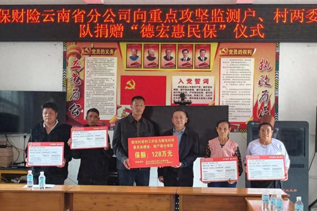 德宏惠民保助力乡村振兴