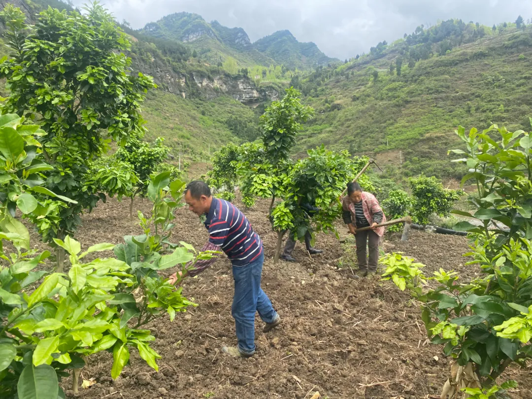 同心众志头雁领航丨张小兵立足家乡谋发展凝心聚力促建设