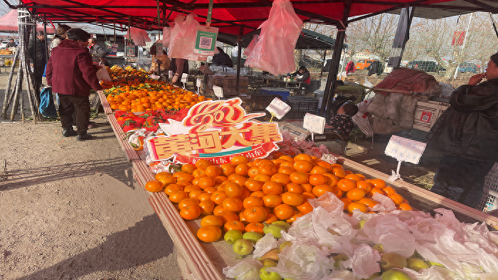 乡村文化振兴丨威海市文登区泽库镇赶黄河大集寻烟火气息