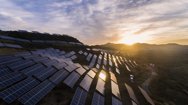 晶科能源:净利增长超150%!n型电池领跑者如何巩固市场领先地位