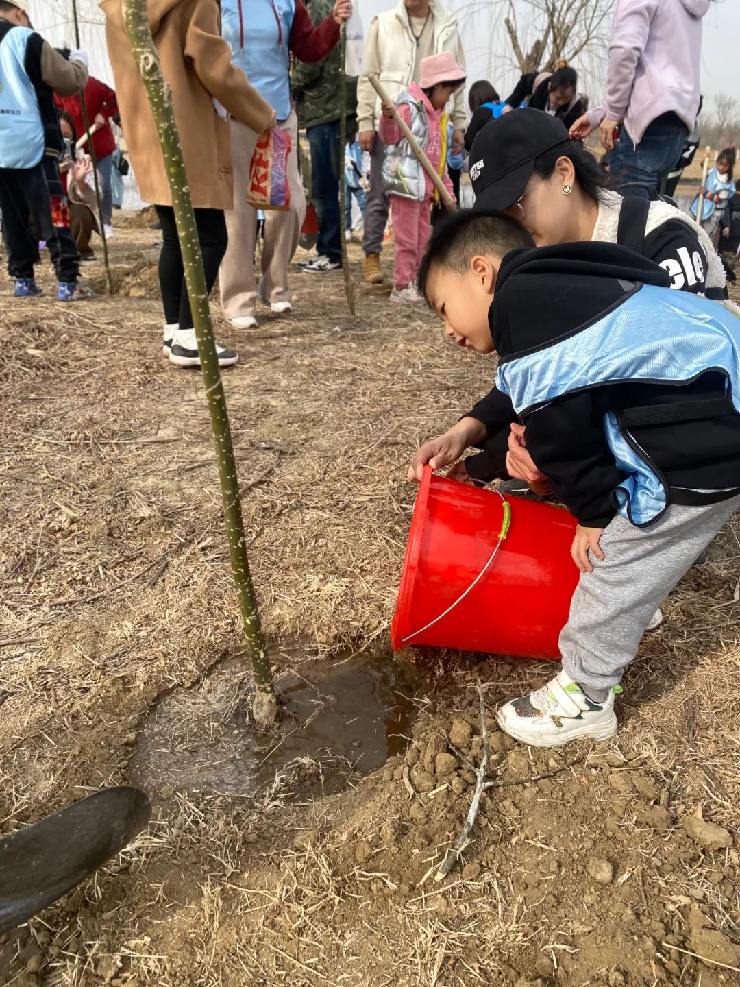 植树节活动延伸图片