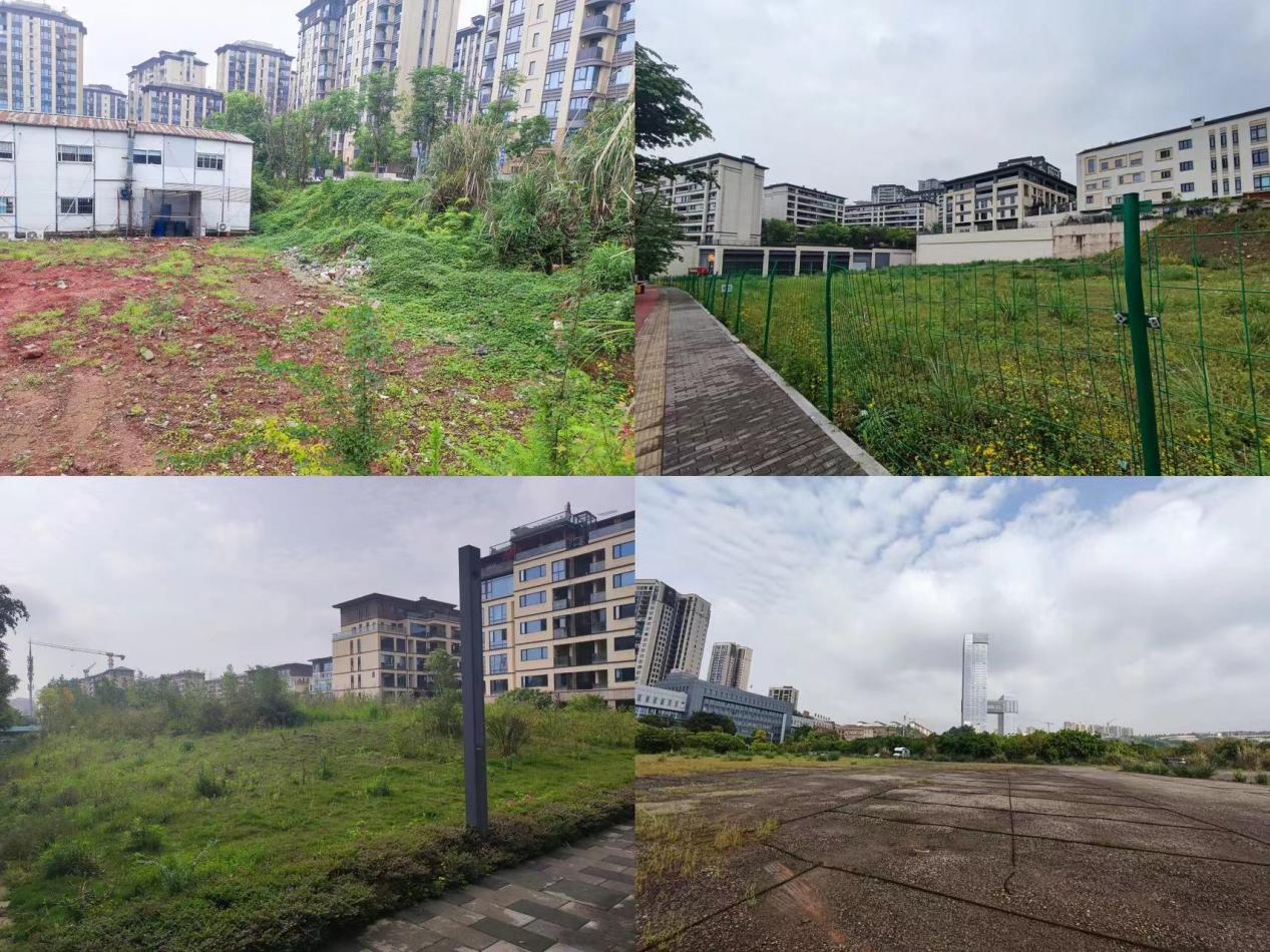 先临建后改建,先服务后升级,先示范后普及  "中经智库"为悦来新城新