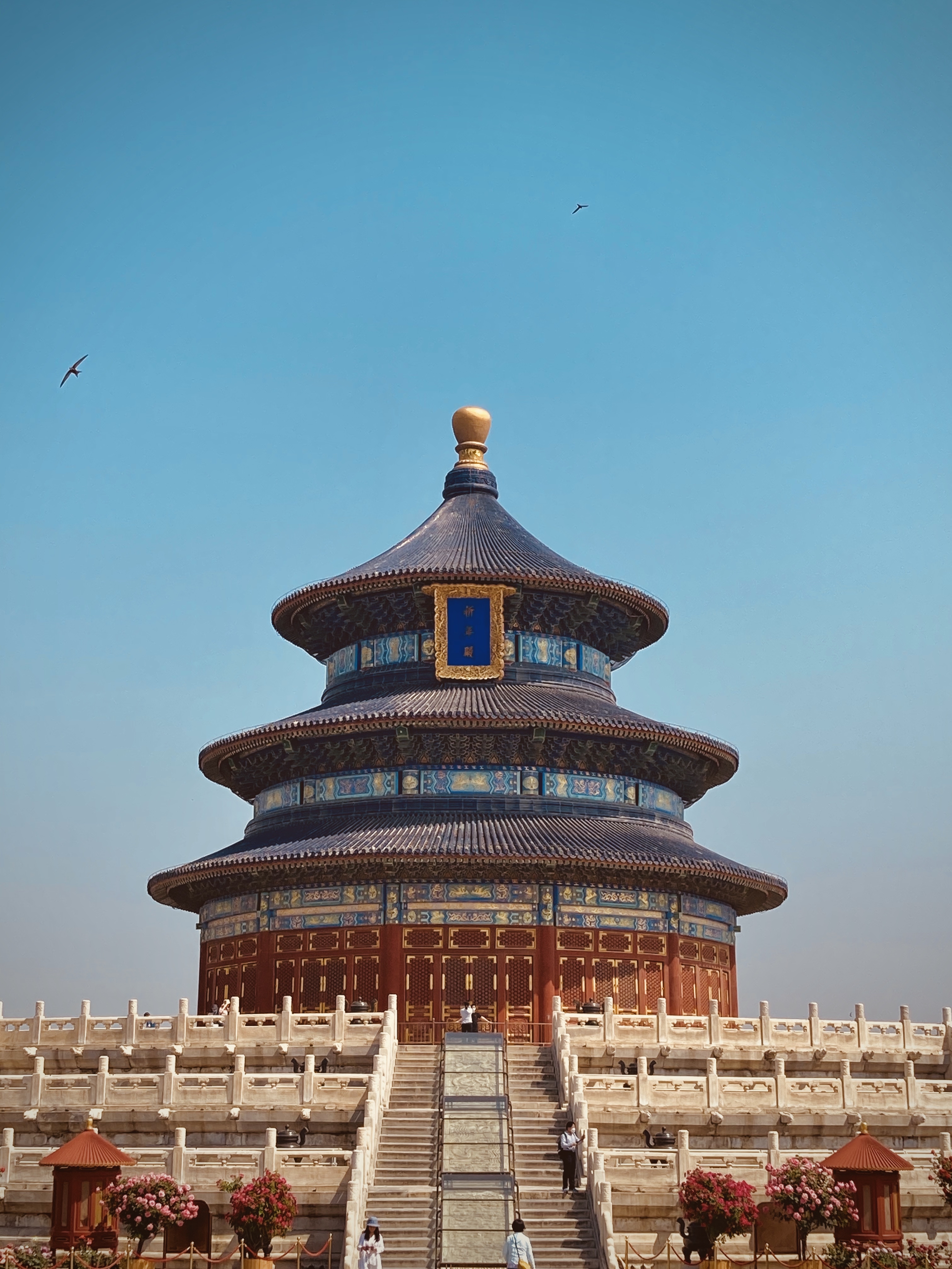 5月1日到5日,天坛公园祈年殿景区入口处(线下)将举办"惬意等候 非遗