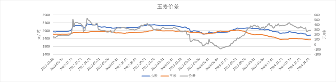 研客专栏|玉米:昨日爱答不理,今日拔地而起!