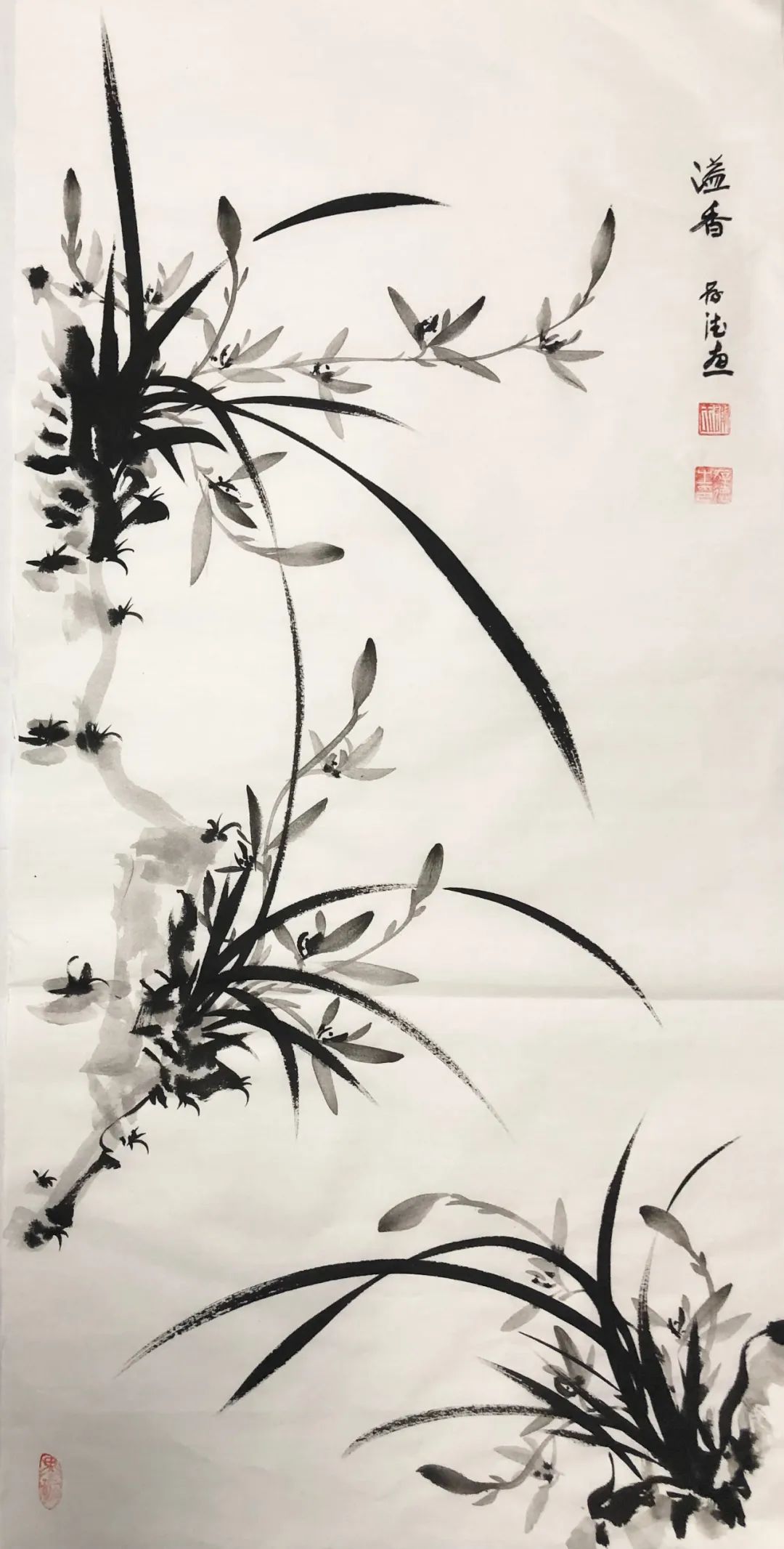 【作品欣赏】2024年5月8日 书于览艺斋著名书画艺术评论家 史峰兰心