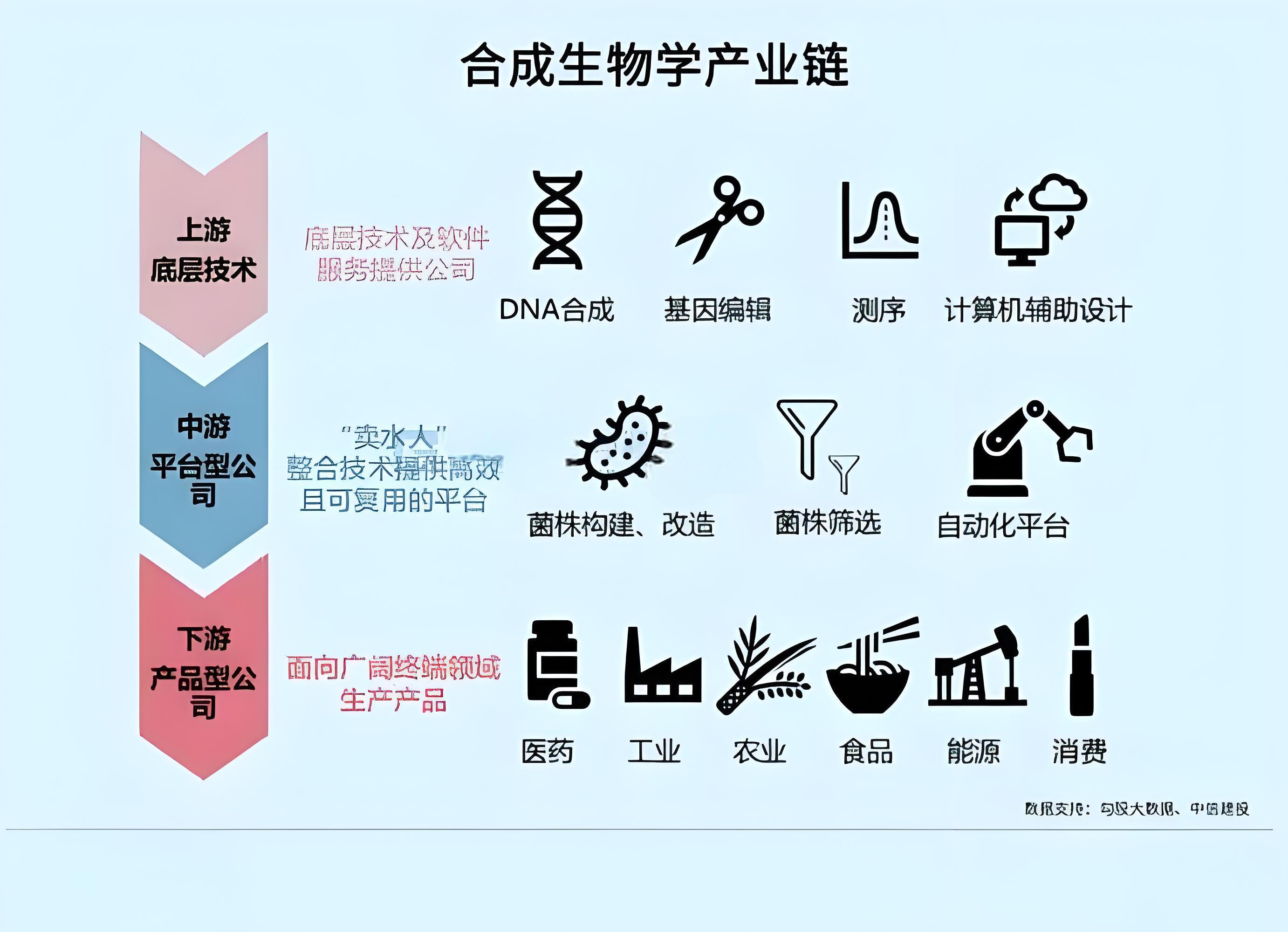 【科普】合成生物的投资前景与科普解析