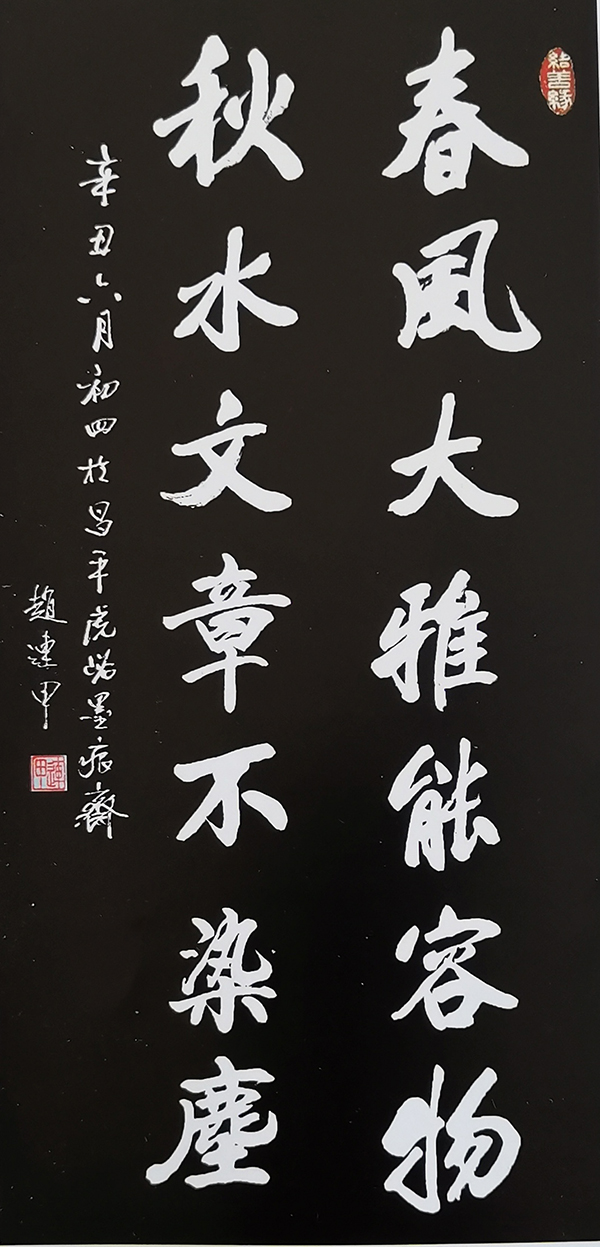 《让文化说话》艺术代言人·赵连甲