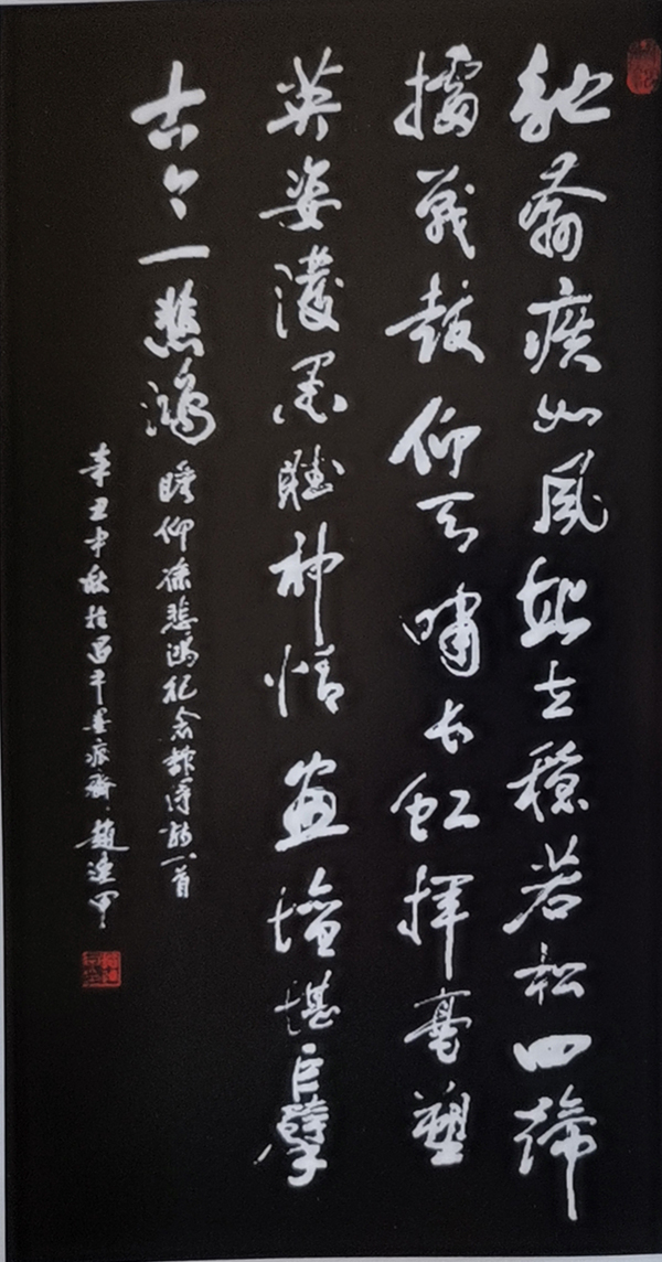 《让文化说话》艺术代言人·赵连甲