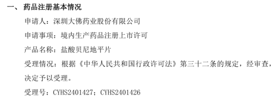 大佛药业收到盐酸贝尼地平片药品注册《受理通知书》