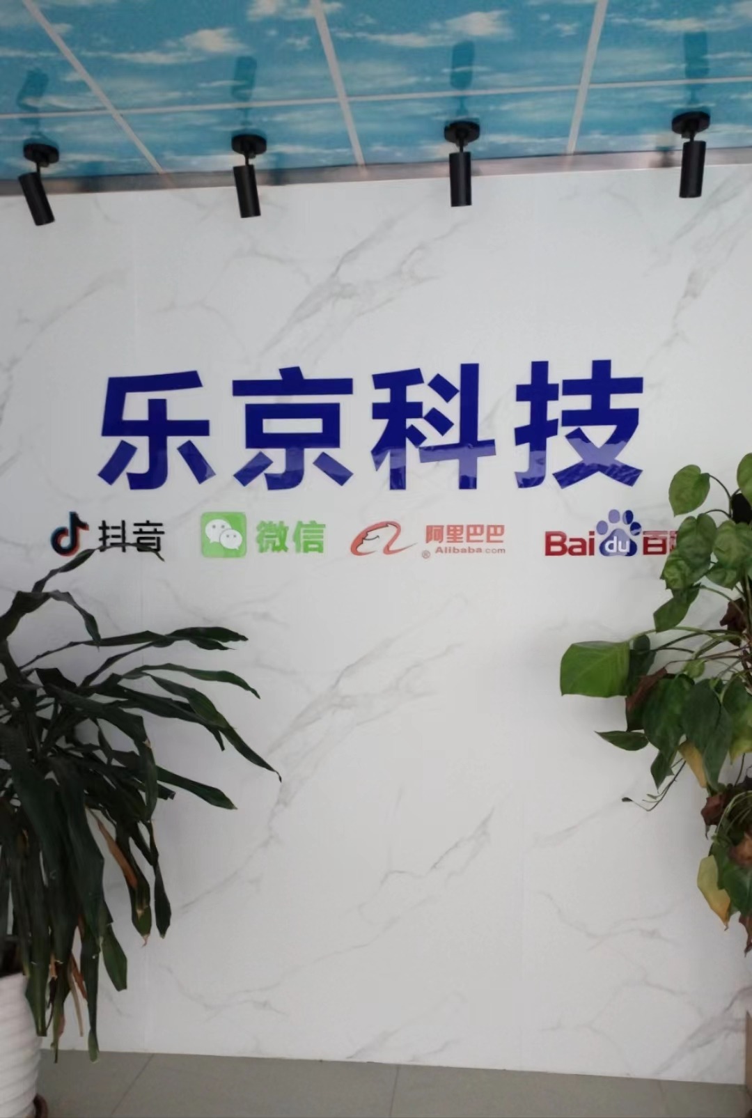 东莞秦商青年商贸有限公司:以诚信与和谐为基石,共创美好未来