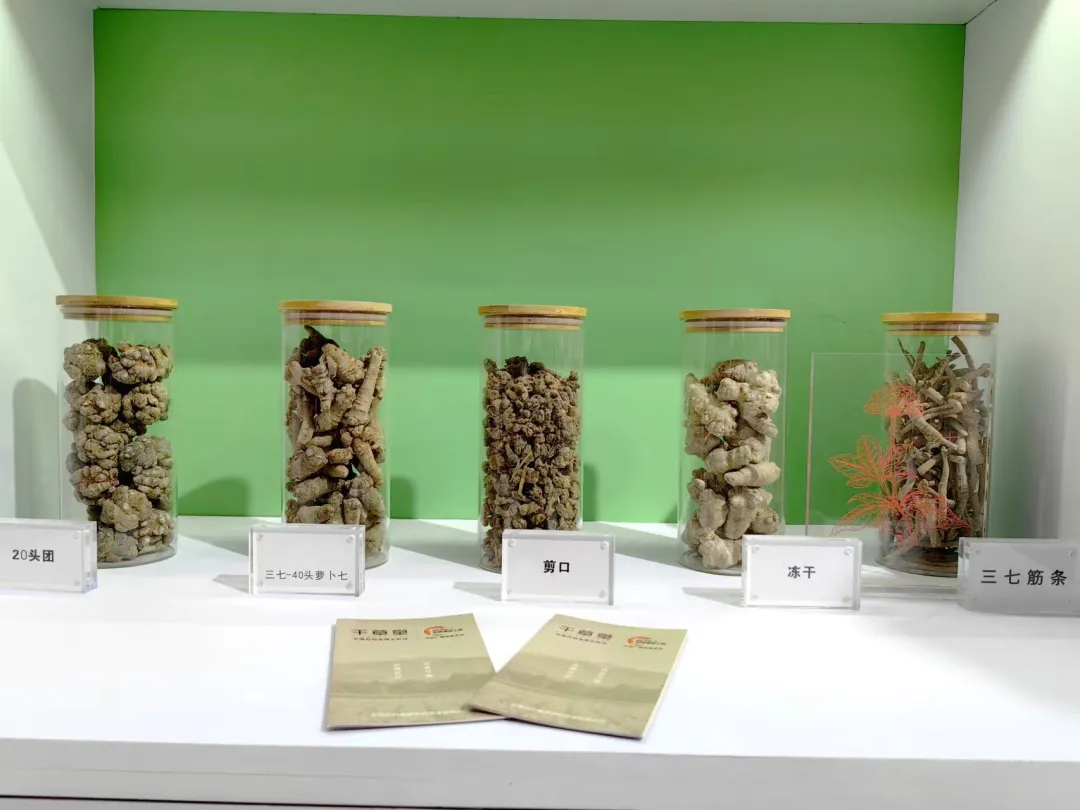 精益品质，健康守护！云南白药集团携多款新品亮相中国品牌日活动_财富号_东方财富网