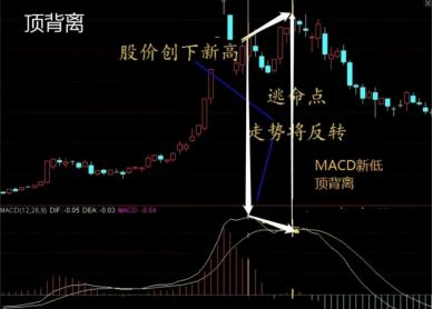 掌握macd五种背离形态,捕捉趋势反转!|0基础学投资