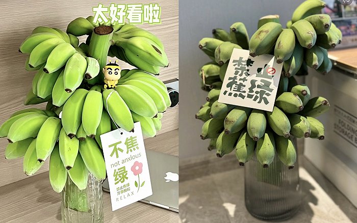 打工人捧红"蕉绿",带动苹果蕉销量倍增