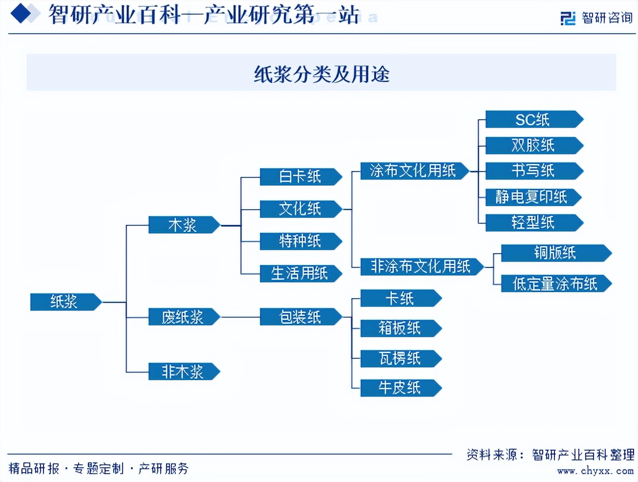 中国纸浆行业市场全景评估