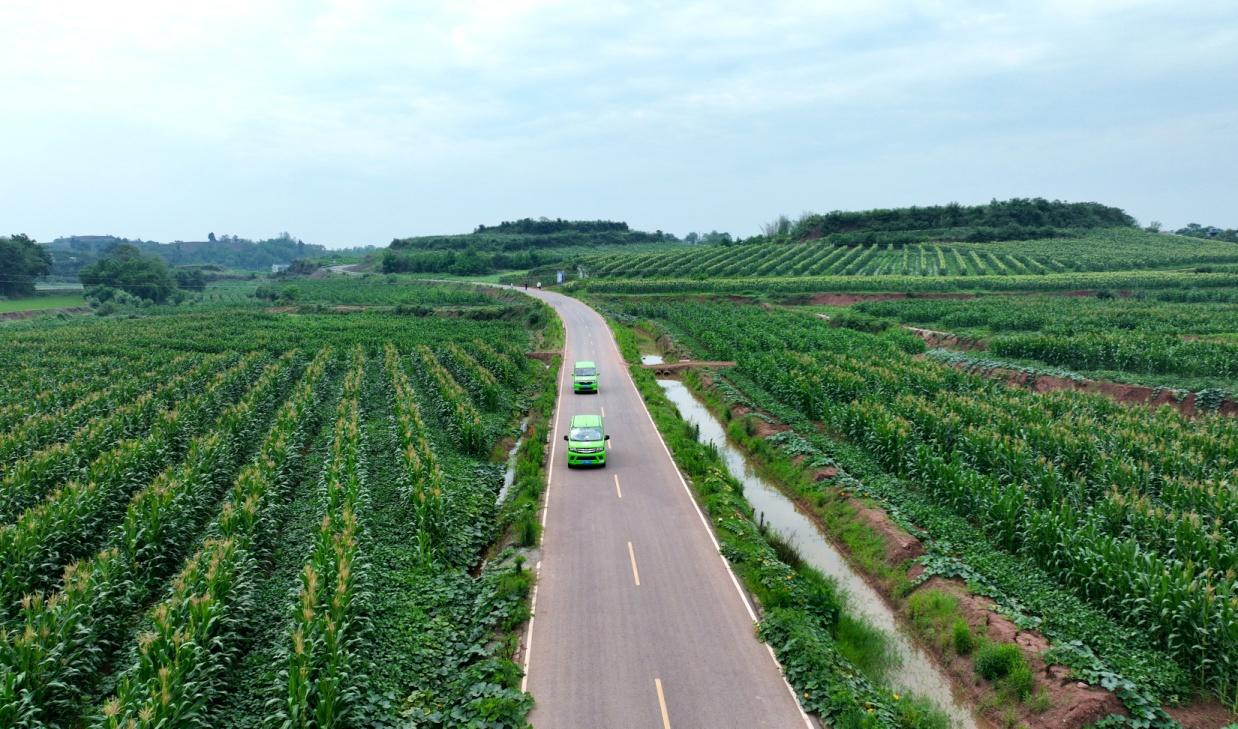 四川仁寿县:"三条道路" 添彩乡村振兴美丽画卷