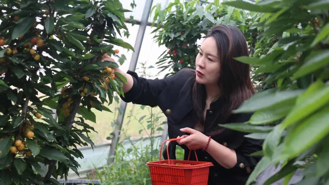 "樱为有你 畅游梁园" 5·20来肥东金禾天润赴一场