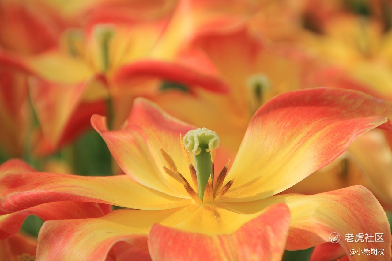 中证500etf期权是怎么开户的详细规则是什么？_财富号_东方财富网