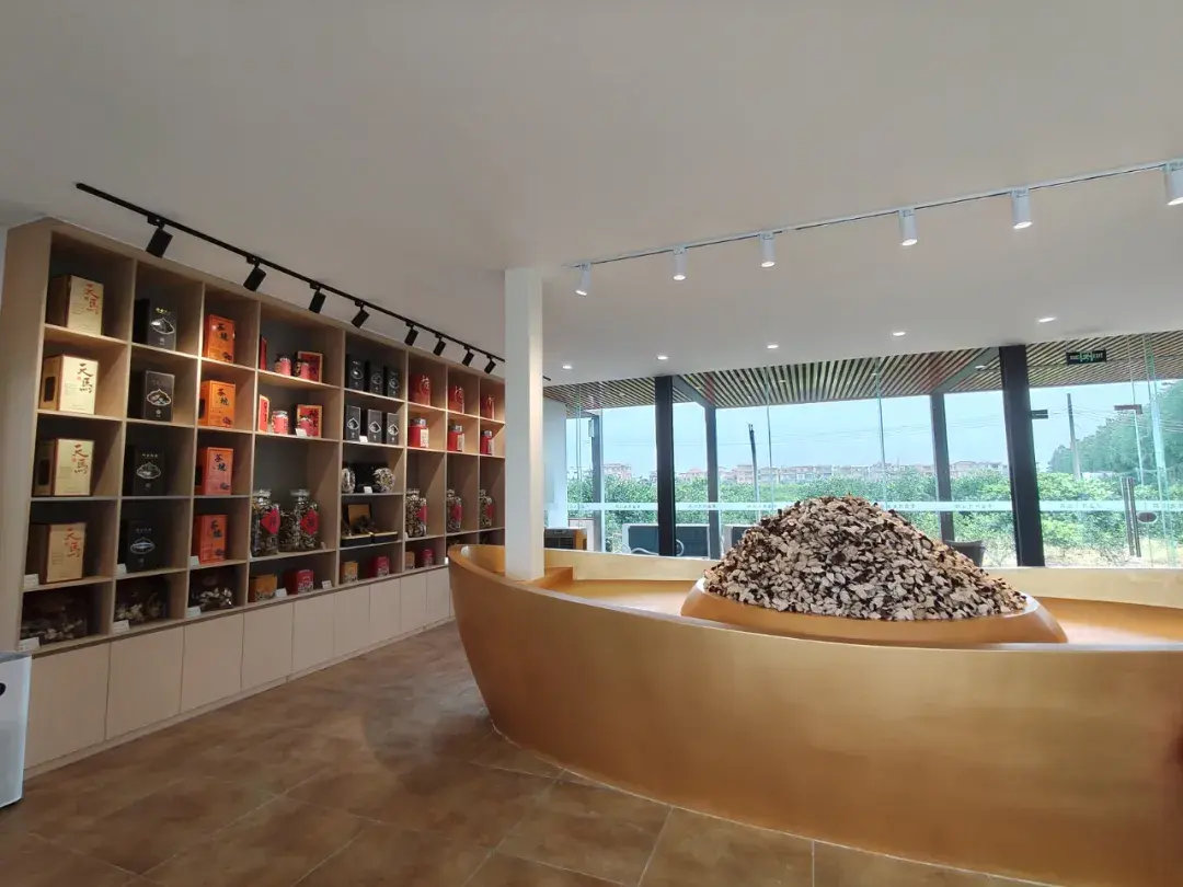 三江常盛新会陈皮庄园开业迎客,助力新会休闲农业发展