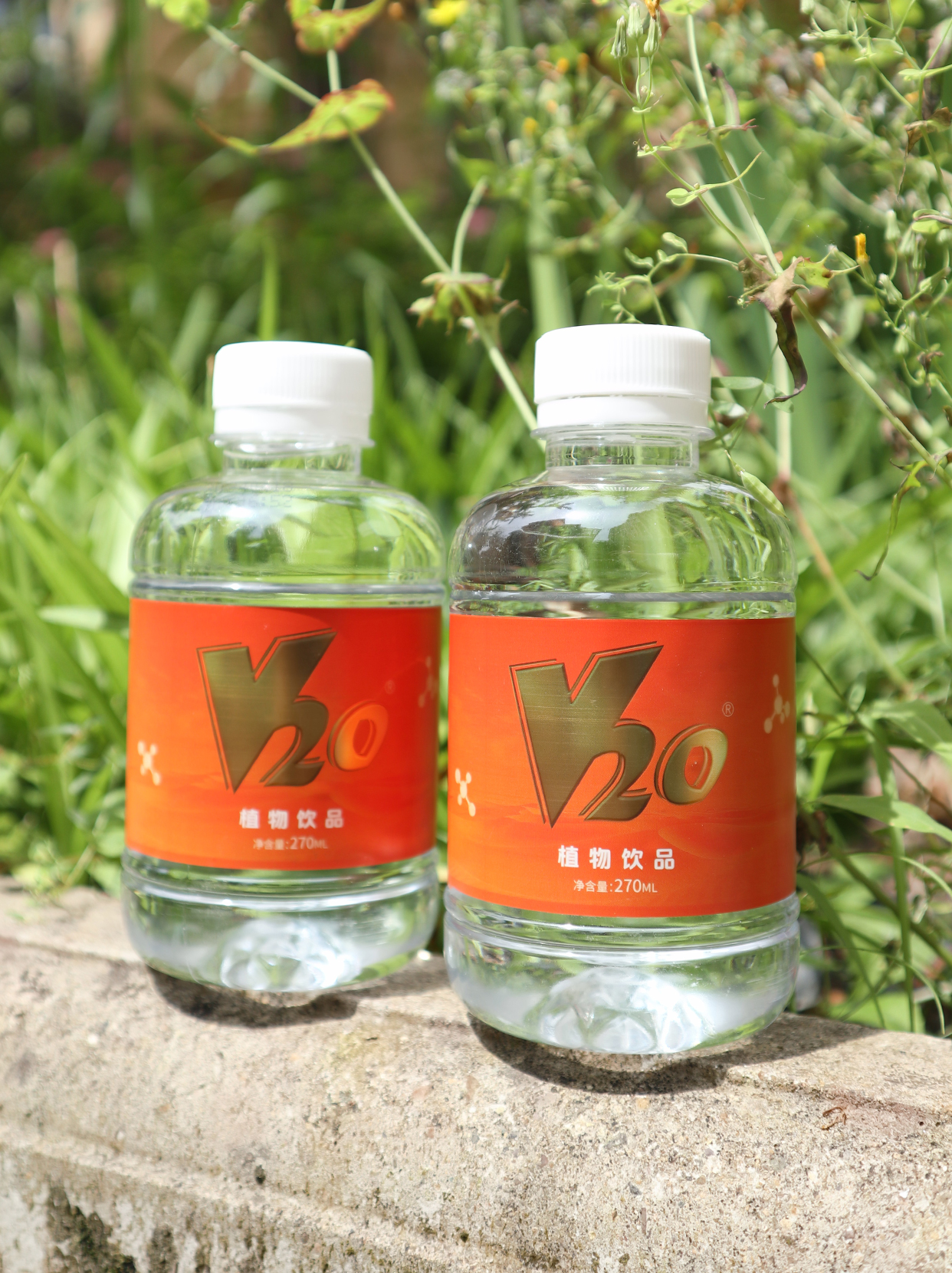 植物饮品怎样帮你清理体内毒素?