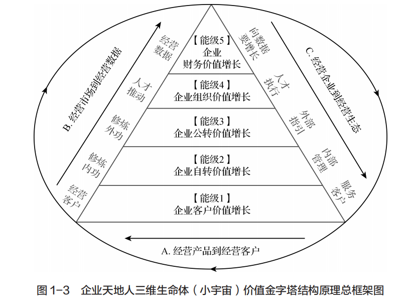 金字塔管理模式结构图图片