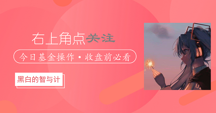 黑白操作|回调看机会,我五枪做多这个板块,等回升