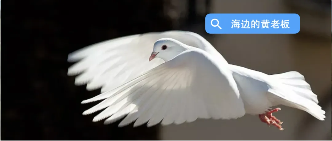 继续高位震荡,主要的行情还是在fdc顺周期这边,作为生物医药的投资者