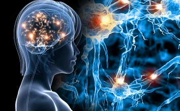 大脑萎缩怎么办,大脑萎缩怎么恢复正常,提前理清