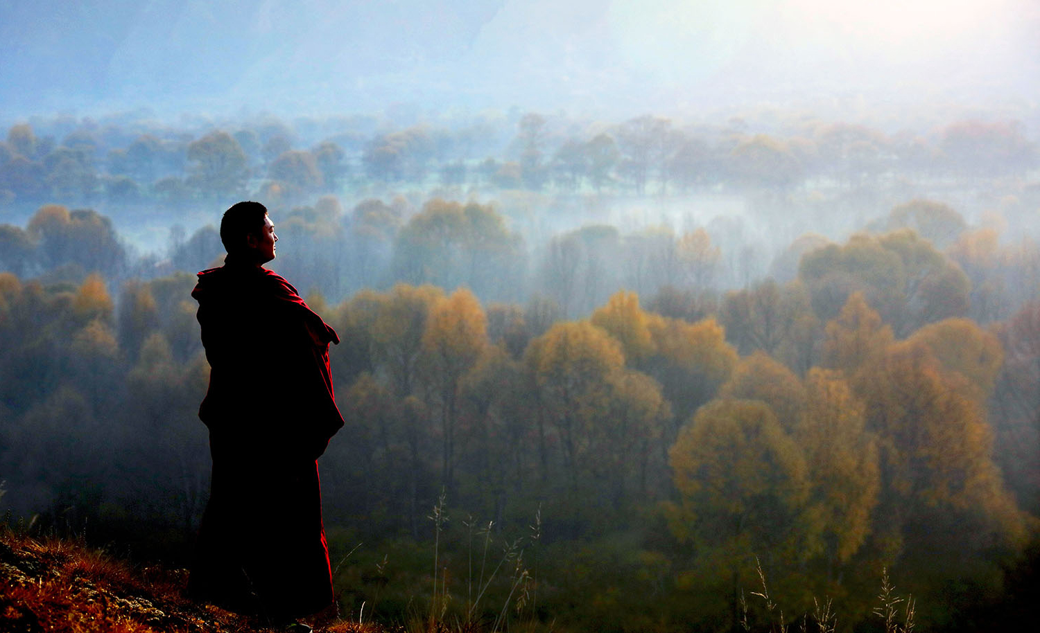 【月亮看盘】如期精准回调,后势何去何从