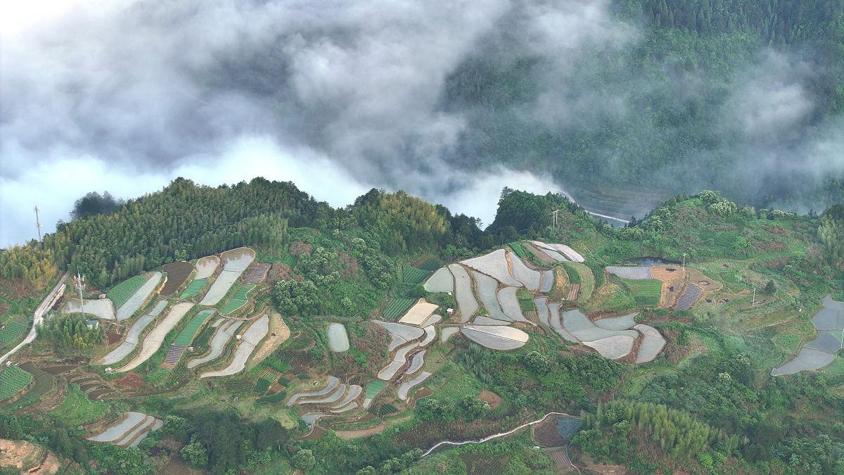 人间仙境——浙江丽水南尖岩山区云海景观