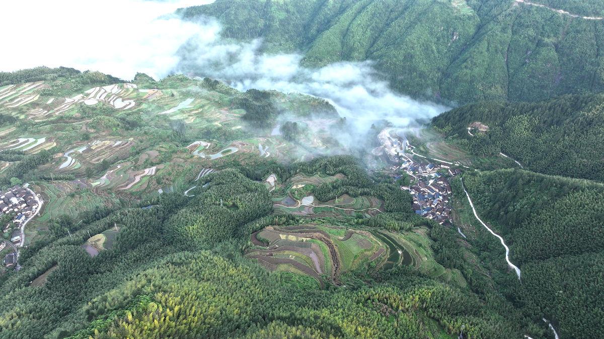 人间仙境——浙江丽水南尖岩山区云海景观