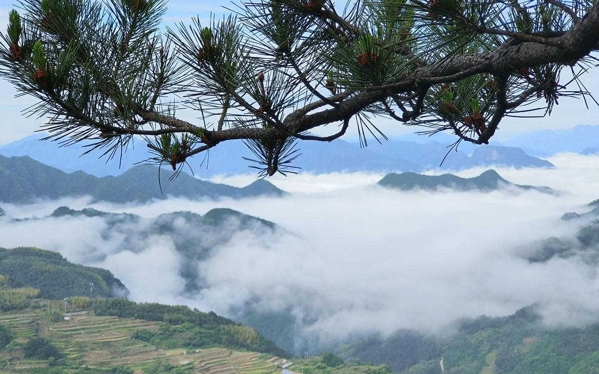 人间仙境——浙江丽水南尖岩山区云海景观