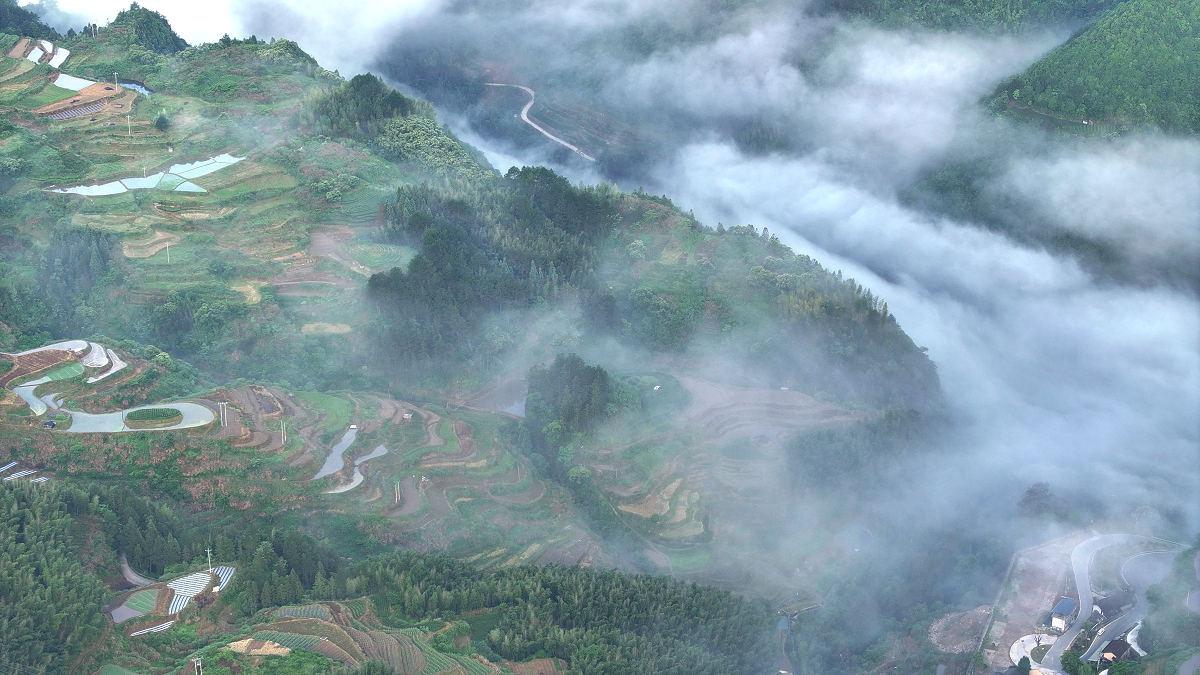 人间仙境——浙江丽水南尖岩山区云海景观