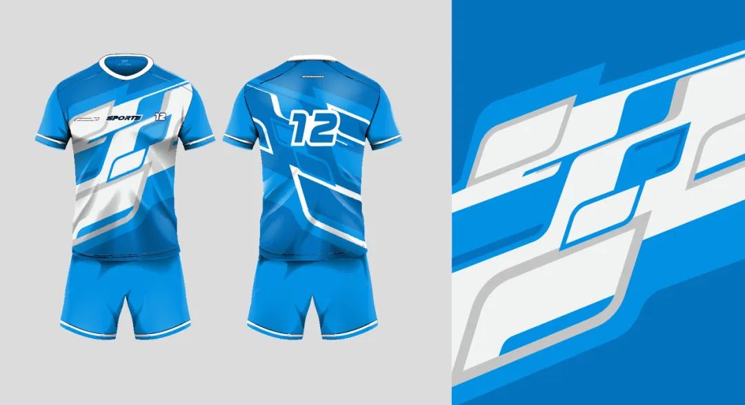 其所管理的销售区域,包括甘肃,青海,西藏(日喀则地区,林芝地区,那曲