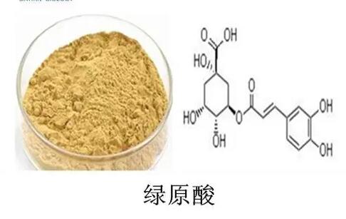 绿原酸药物图片