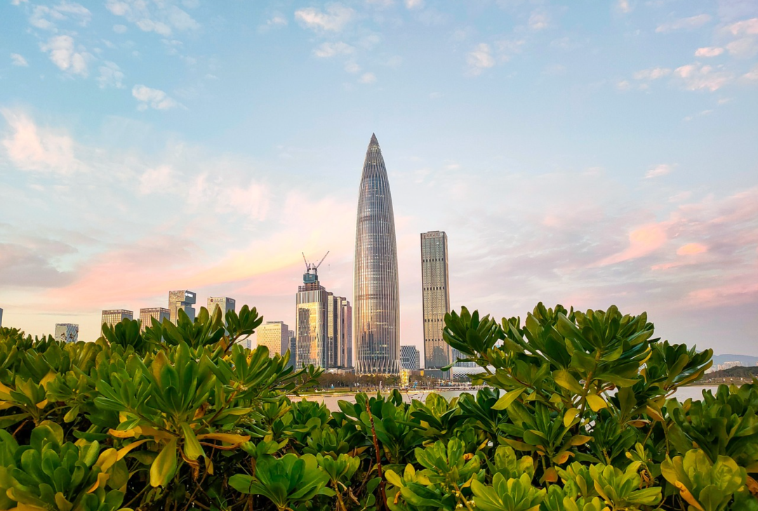 分析丨深圳成外贸第一城,为何能增速31.8%超上海?