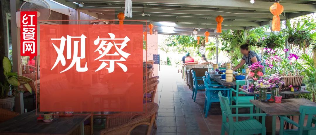 爆红全网的"粤圈太子爷",带火一批"山卡拉"农家菜