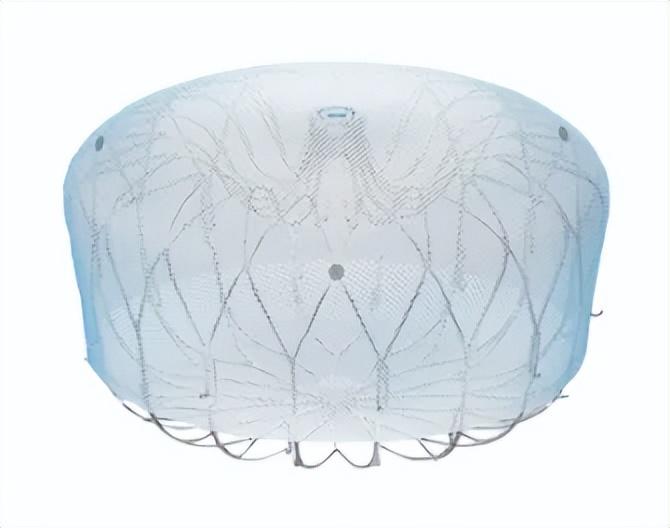 医疗公司有哪些产品器械之家：2024十大心血管创新产品_https://www.jmylbn.com_新闻资讯_第8张