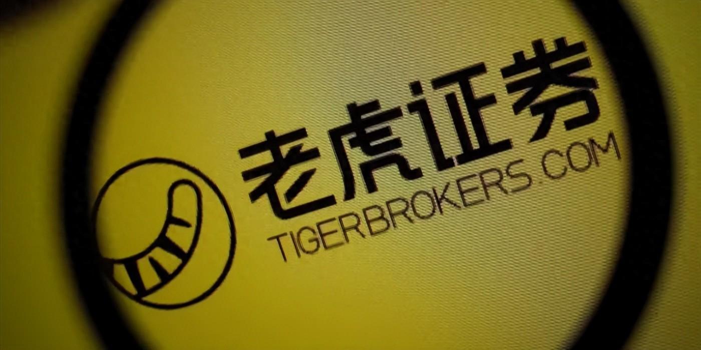 老虎国际季报图解:营收7895万美元同比增19% 净利1230万美元